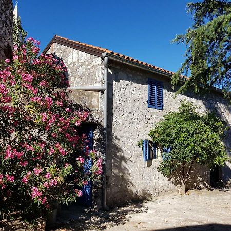 Вилла The Istrian Врсар Экстерьер фото