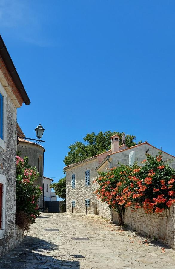Вилла The Istrian Врсар Экстерьер фото